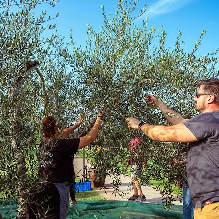 Agriturismo Biologico Diacceroni Villamagna  Luaran gambar