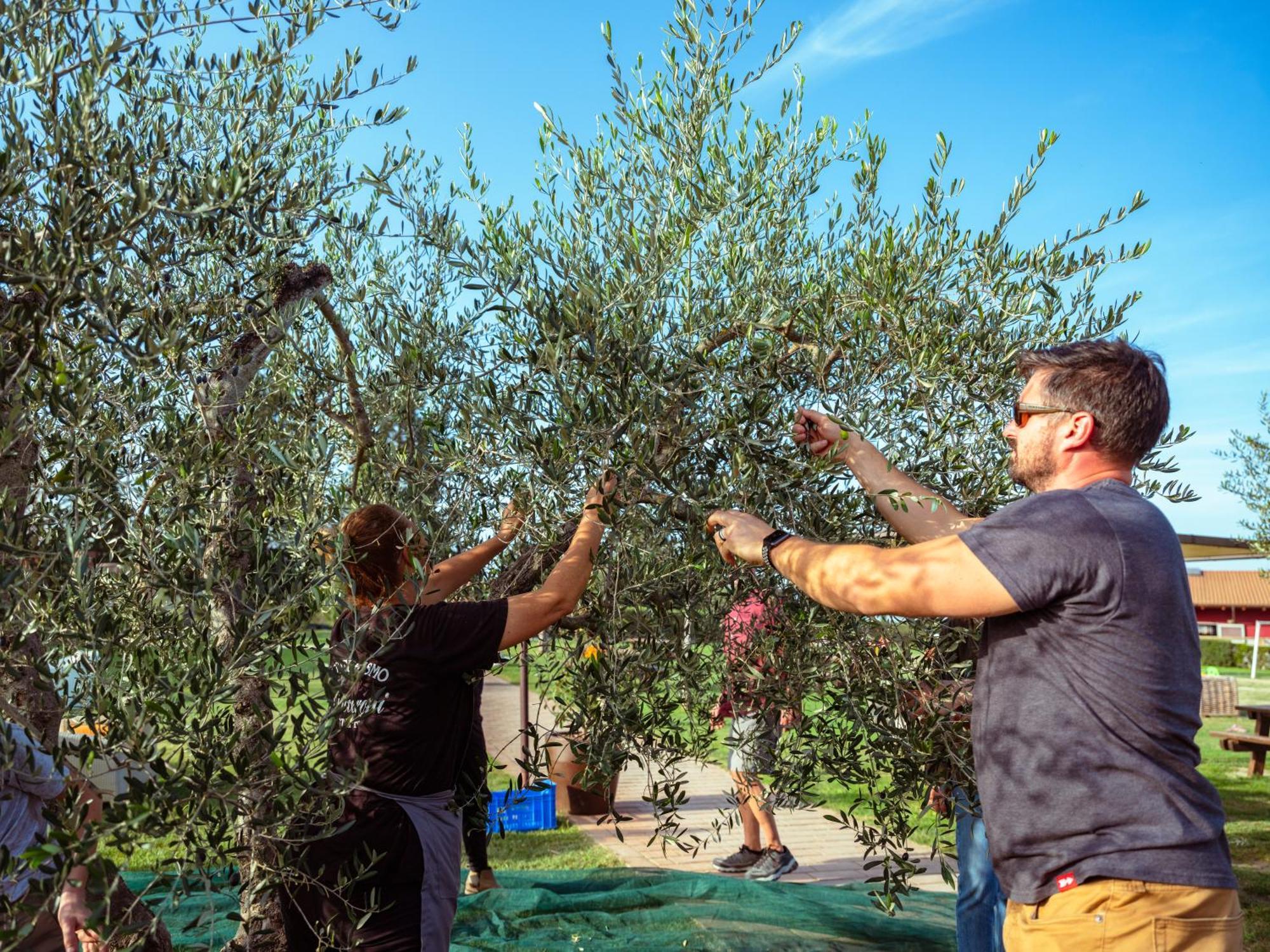 Agriturismo Biologico Diacceroni Villamagna  Luaran gambar
