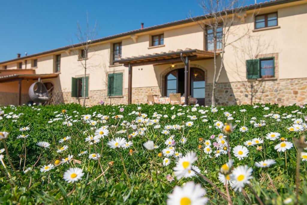 Agriturismo Biologico Diacceroni Villamagna  Luaran gambar